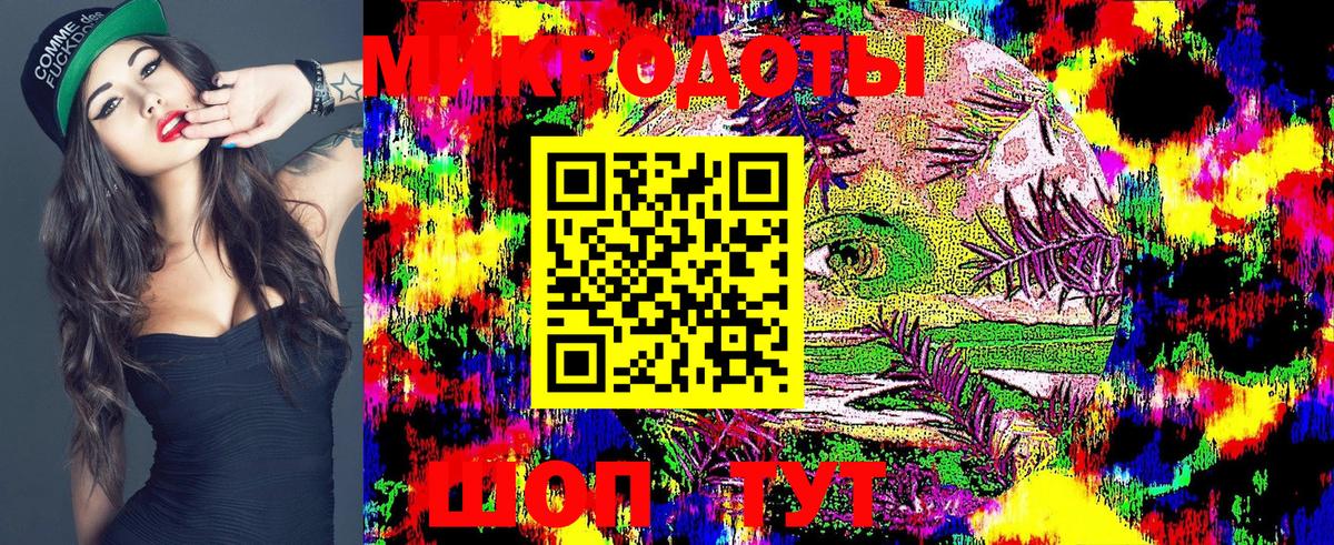 Галлюциногенные грибы Psilocybe  Вход с VPN  Алапаевск 